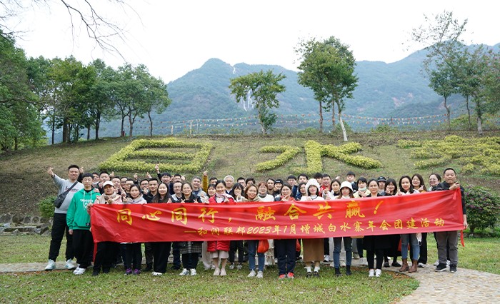 图片展示